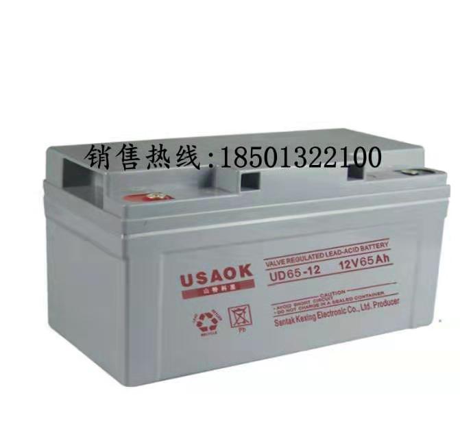 USAOK山特科星蓄电池UD12-65/12V65AH免维护铅酸蓄电池用于UPS电源
