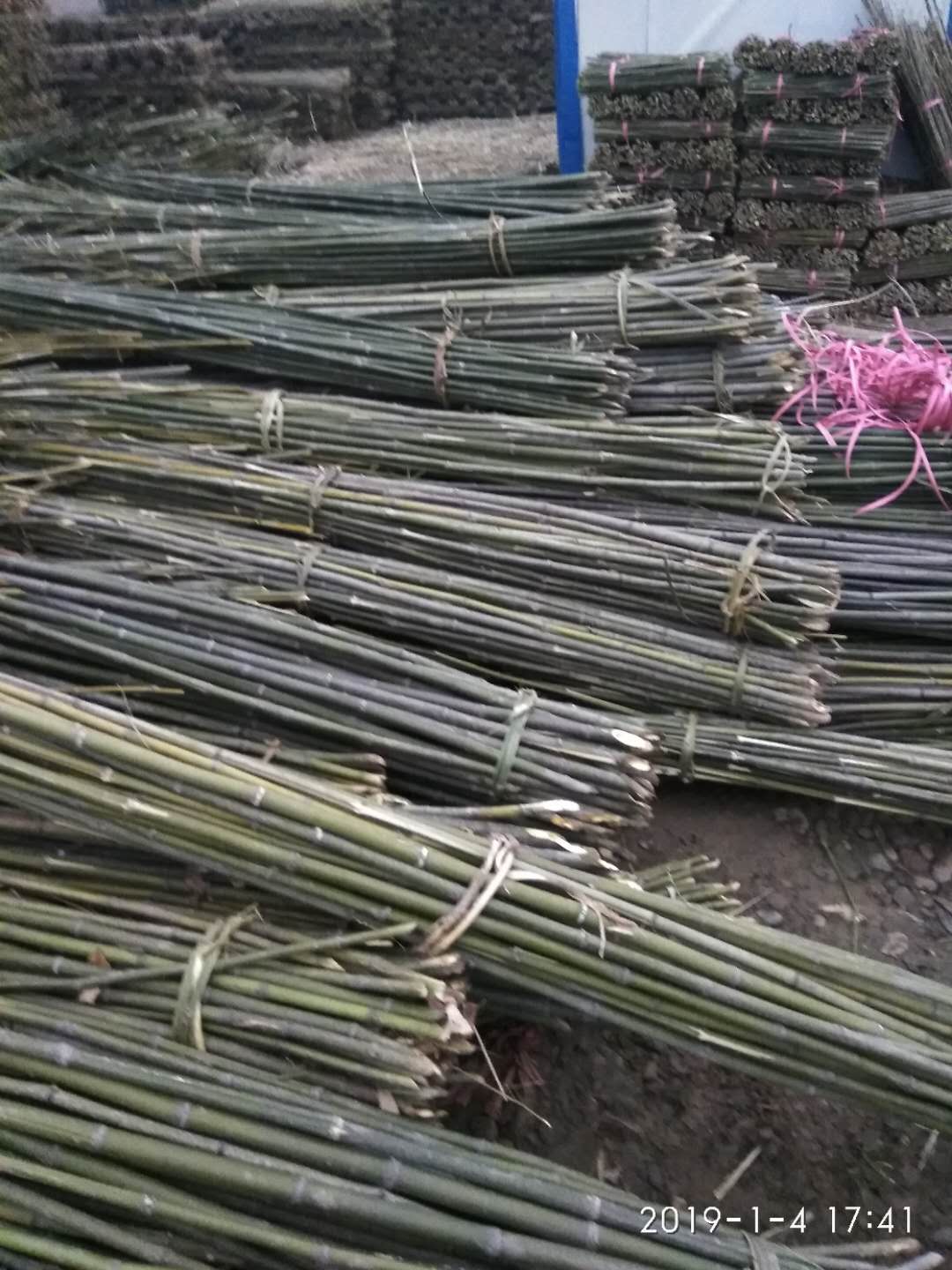 货源地直销各种规格竹竿2-12米