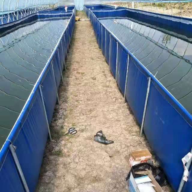 甘肃帆布鱼池厂家直销 小龙虾养殖池 品质保证 恒基帆布