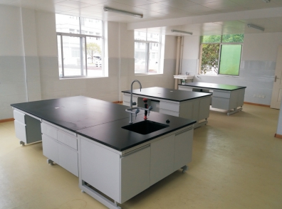 江苏药品实验室设计家具 服务至上 上海临进实验室设备供应