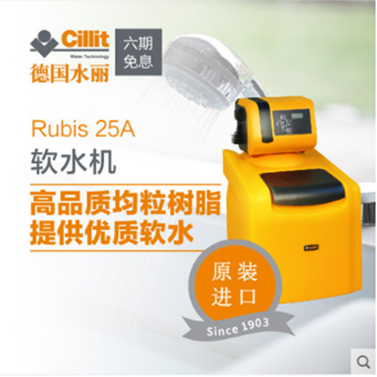 德国水丽原装进口家用净水器中央净水机全屋软水机阻垢纳米通Rubis 25