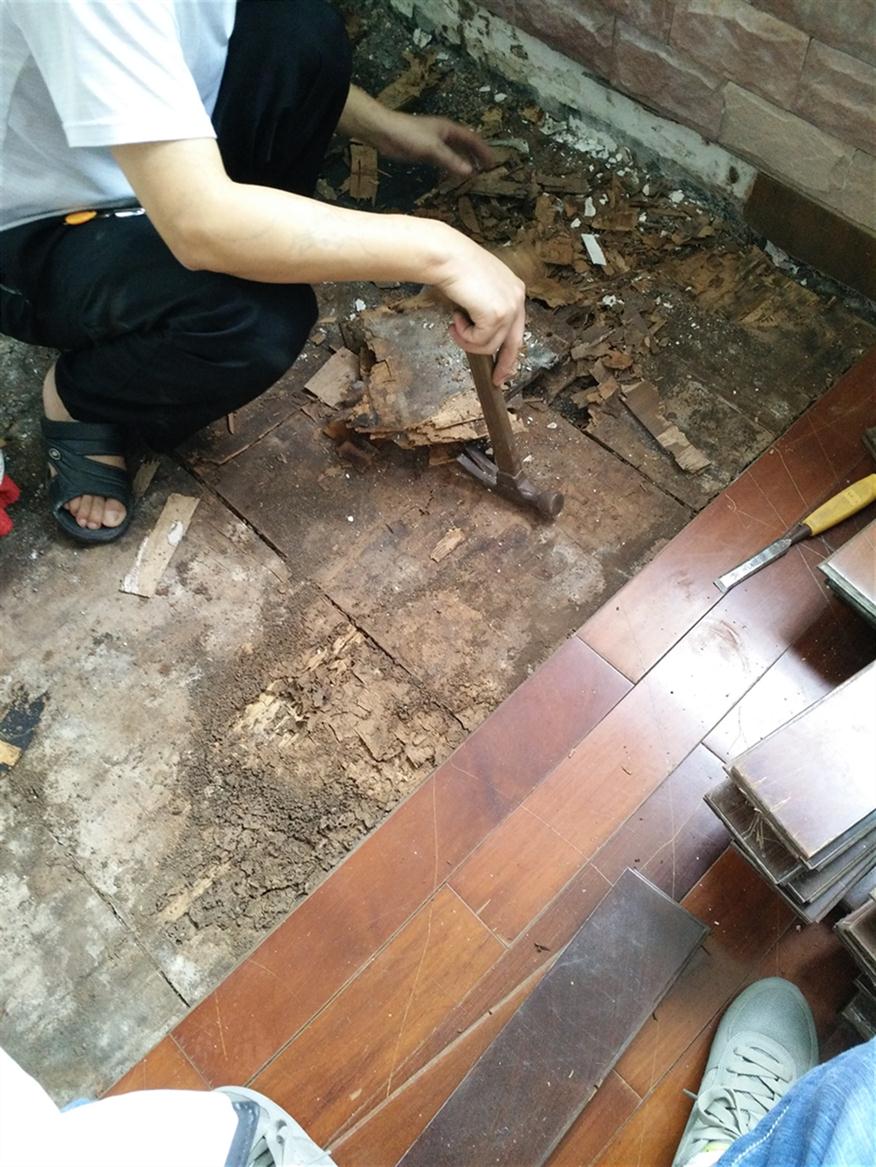 复合木地板维修师傅 木地板起拱维修 专业维修 上门服务