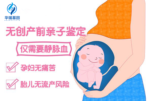无创胎儿亲子鉴定的流程是怎么样的？