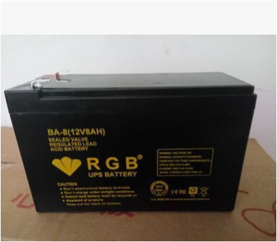 RGB蓄电池BA-8 美国RGB蓄电池网站参数报价
