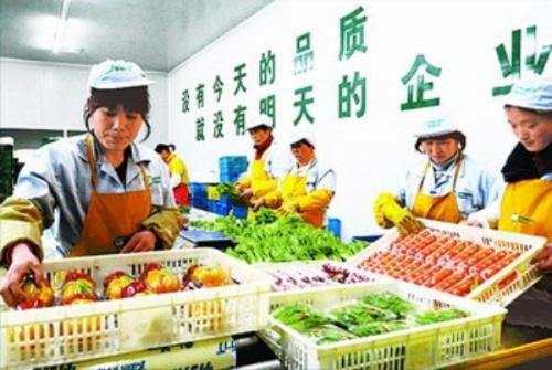 新安蔬菜批发公司 食堂蔬菜批发公司 平价新鲜提供一站式送菜上门服务