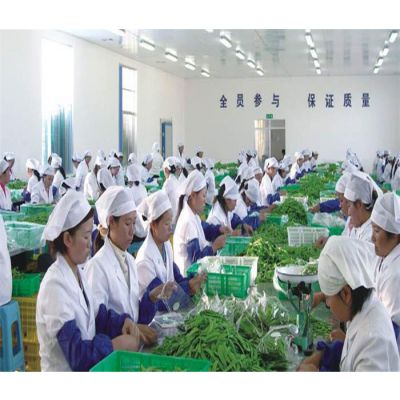 东凤蔬菜粮油配送公司 提供工厂食材一站式采购配送服务