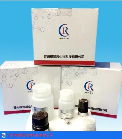 北京结合态淀粉合成酶试剂盒准确性好 铸造辉煌 苏州格锐思生物科技供应