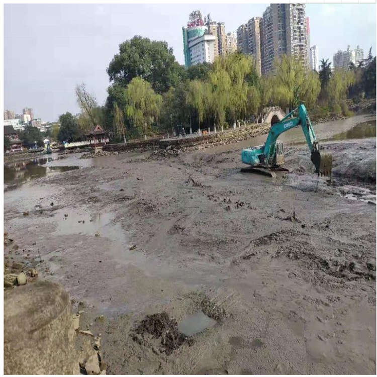 广东广州白云区城市景观河道水体淤泥修复绿化工程