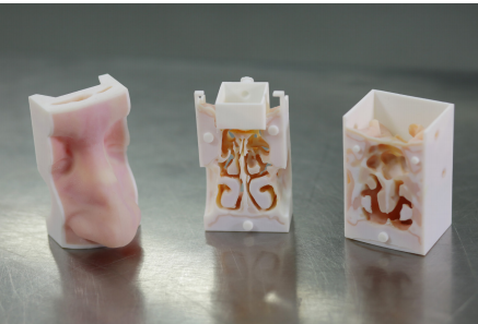 青岛3D打印鼻腔模型结构