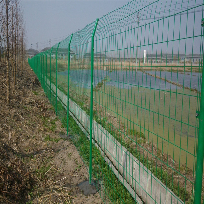 绿色圈路网双边丝护栏网安平绿色圈路网厂