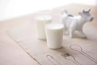 南通羊奶的营养分析