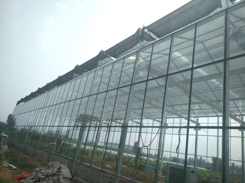 玻璃连栋智能温室建设厂家