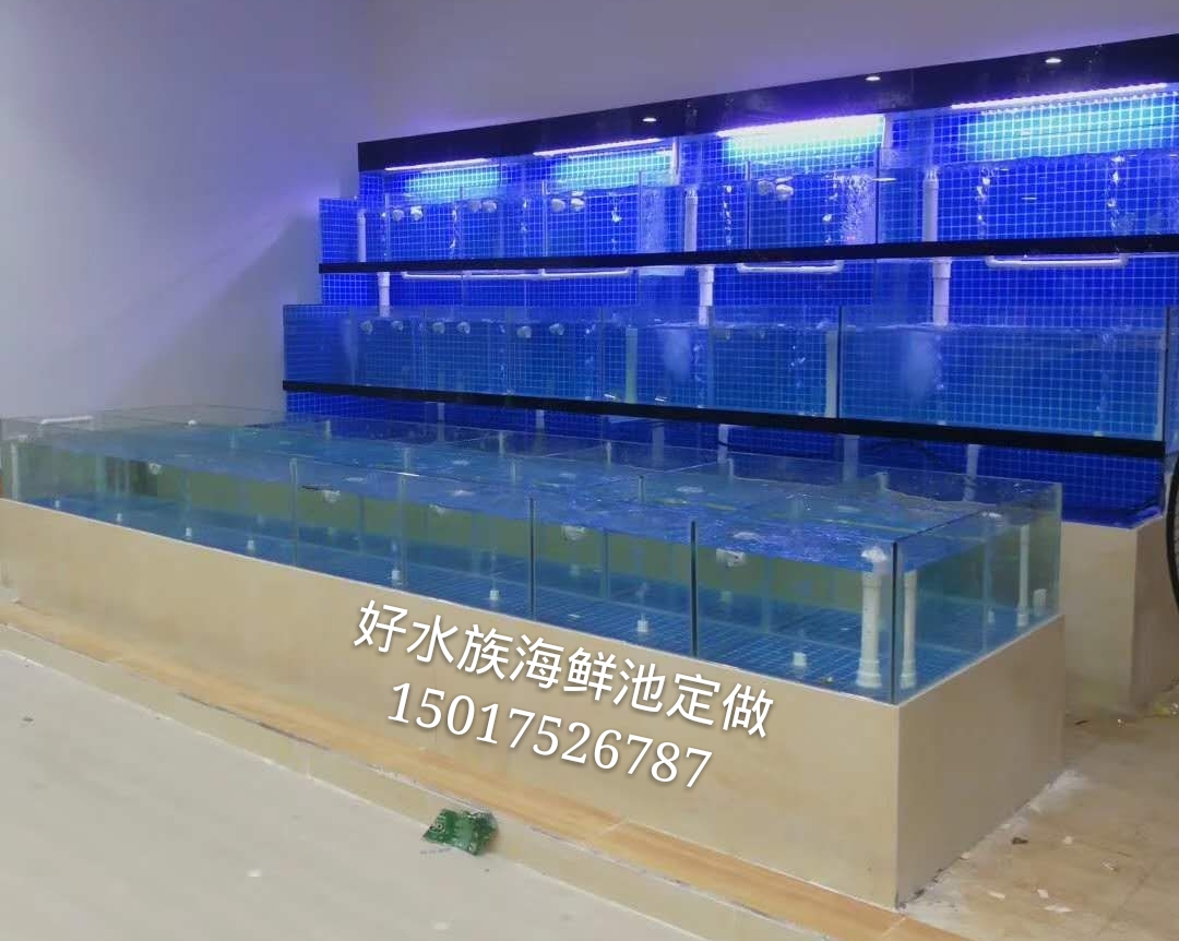 深圳市海鲜池设计、制作—深圳福田海鲜池、贝壳池、观赏鱼池