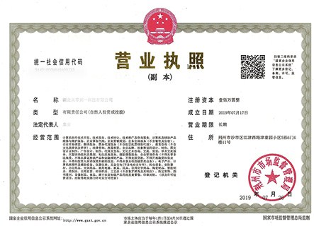 荆州区专业证照申请有哪些流程 湖北从零到一科技供应