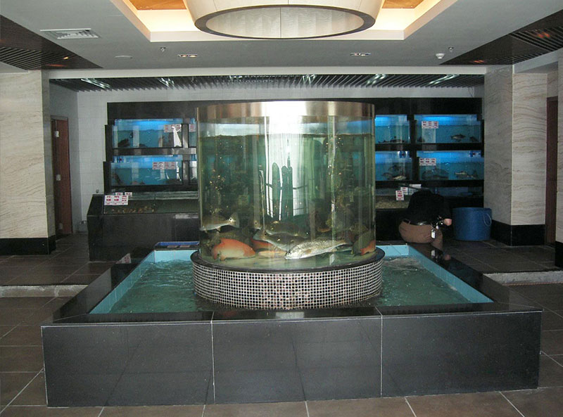 深圳沙嘴订做海鲜池冷水机 玻璃海鲜缸制作视频 欢迎在线咨询