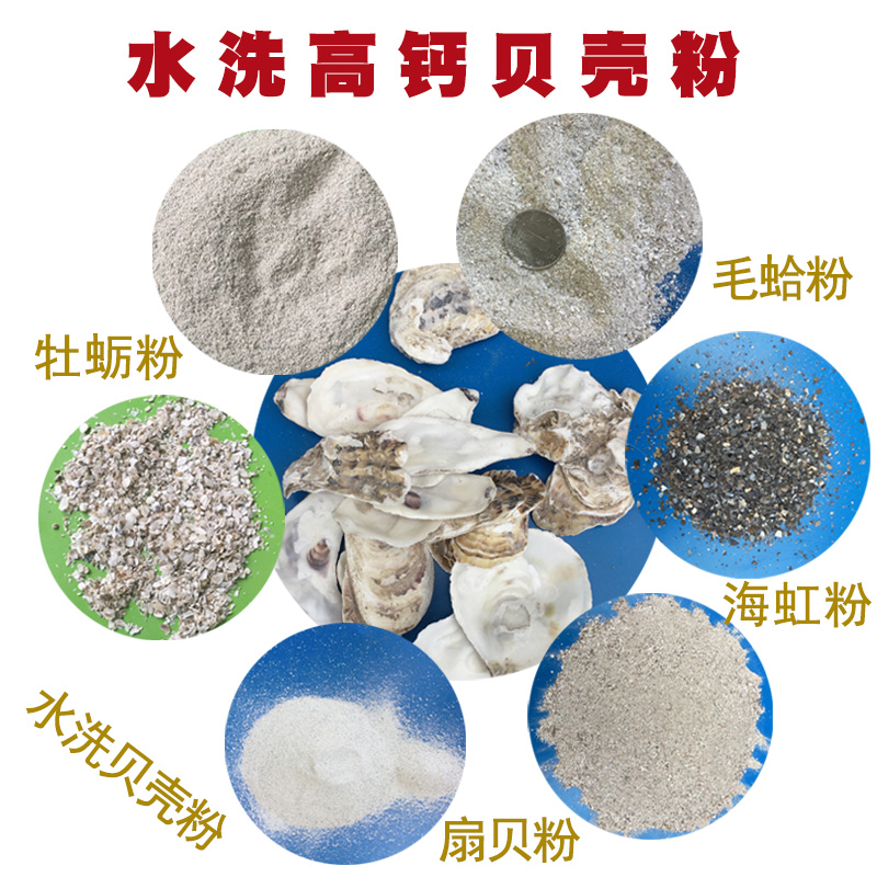 贝壳粉、30-60目牡蛎壳粉，饲料级贝壳粉