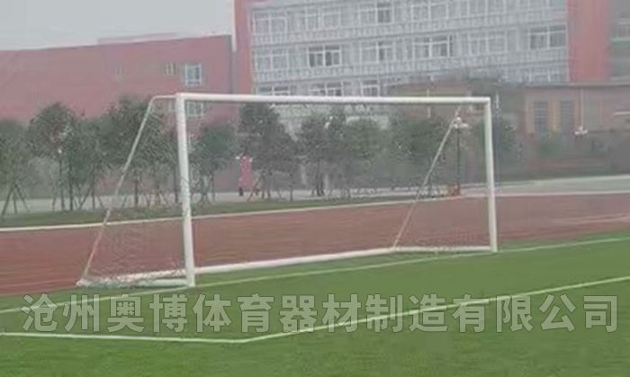 天津双人平步机健身器材vu体育器材单人坐拉器厂价批发