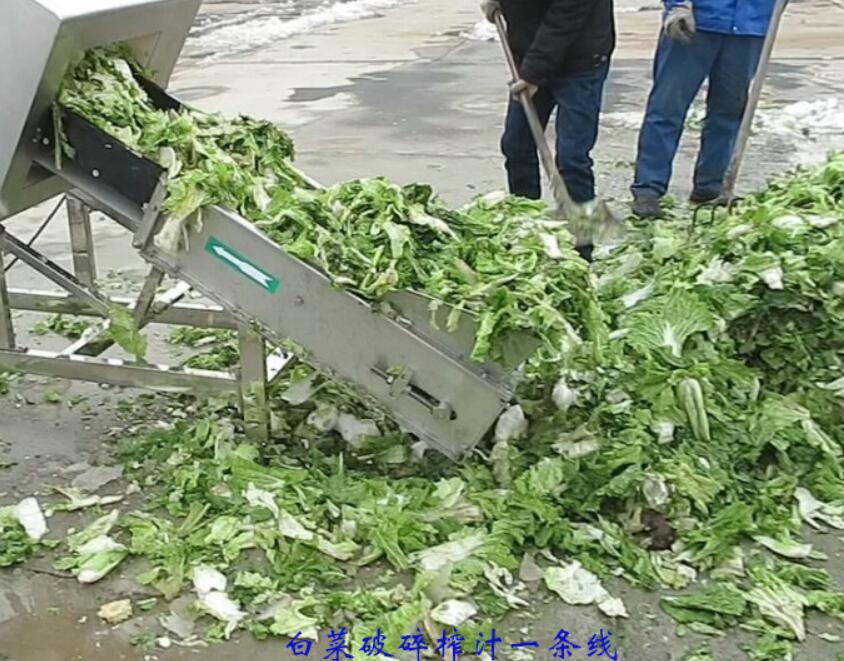 较新果蔬菜市场垃圾压榨过滤处理设备