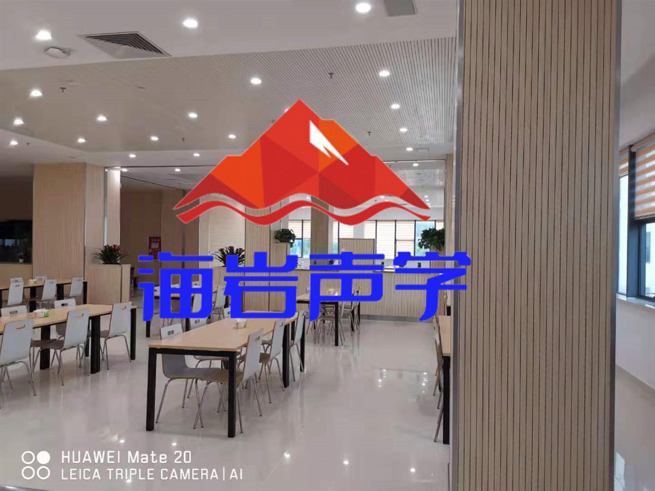 广西餐厅噪声处理 四川海岩声学科技有限公司