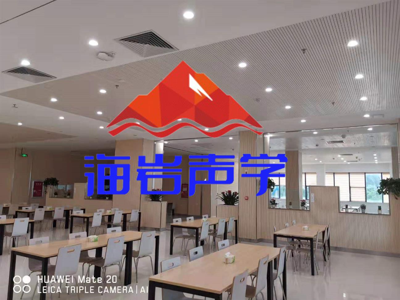 广西餐厅噪声处理 四川海岩声学科技有限公司