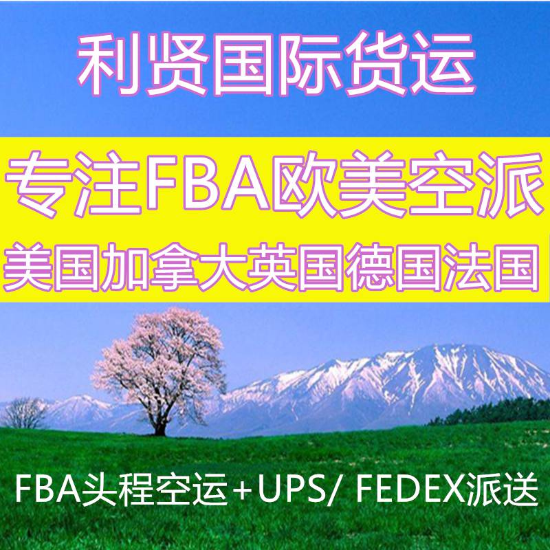 国际快递DHL FEDEX UPS到美国加拿大英国FBA海运专线双清包税