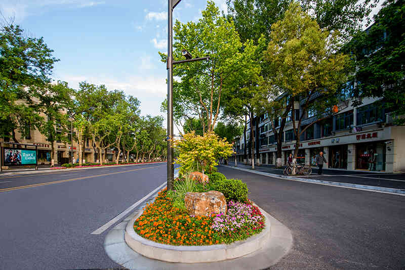 六合区园林绿植租摆价格 服务为先 南京春之恋景观工程供应