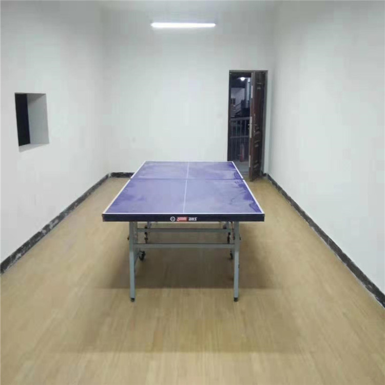 贺州塑胶乒乓球地板
