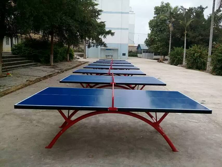 广西河池厂家直销家用乒乓球台批发价格