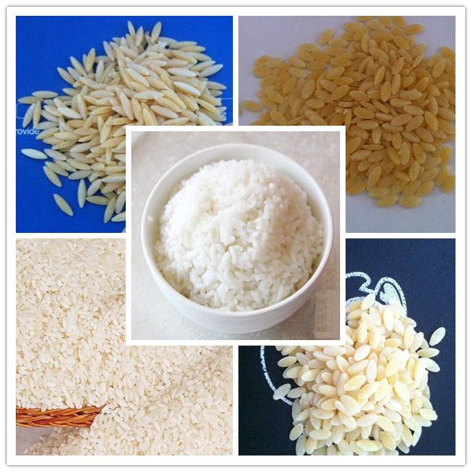 济南鑫贝发诚信经营营养米生产线 优质人造米生产厂家 高效黄金米生产机器