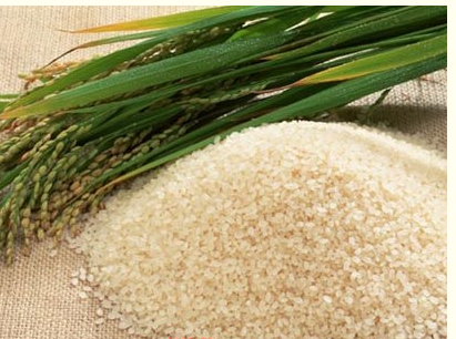 青岛正稻记优质大米供应