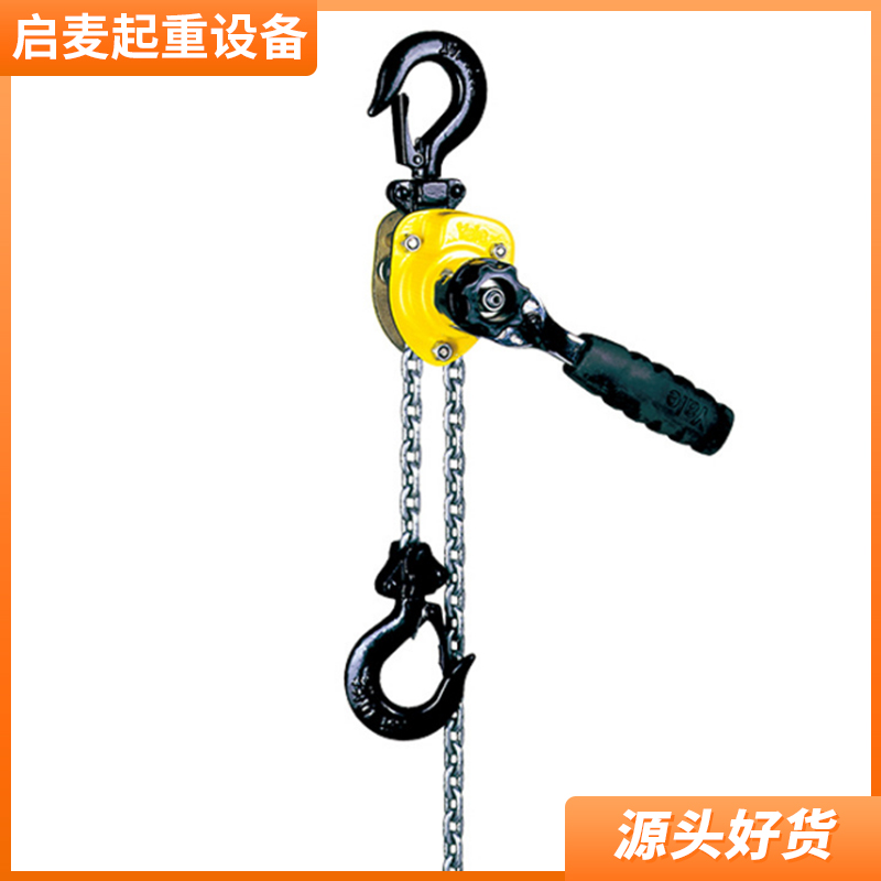 东莞涂装线环链电动葫芦批发