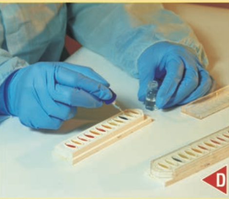 双歧杆菌生化鉴定试剂盒供货商