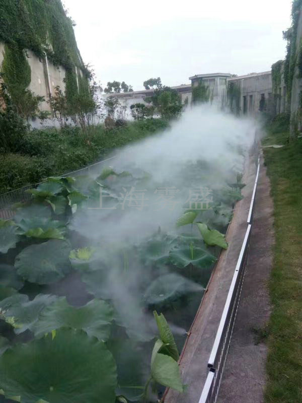 景区人造雾制造厂 上海雾盛实业有限公司