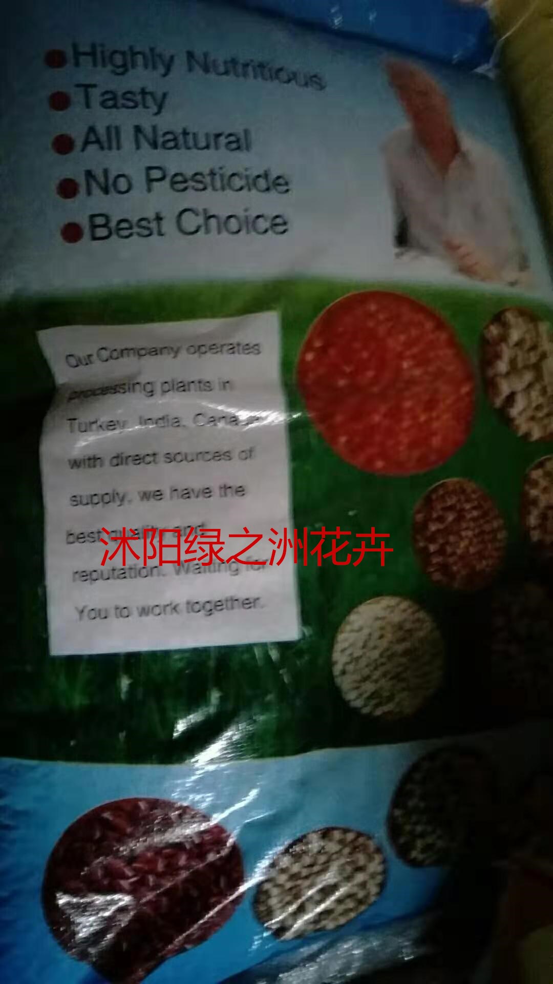 安徽新品种韭菜种子