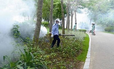 深圳除虫公司厂家价格优质选择的环保灭虫公司