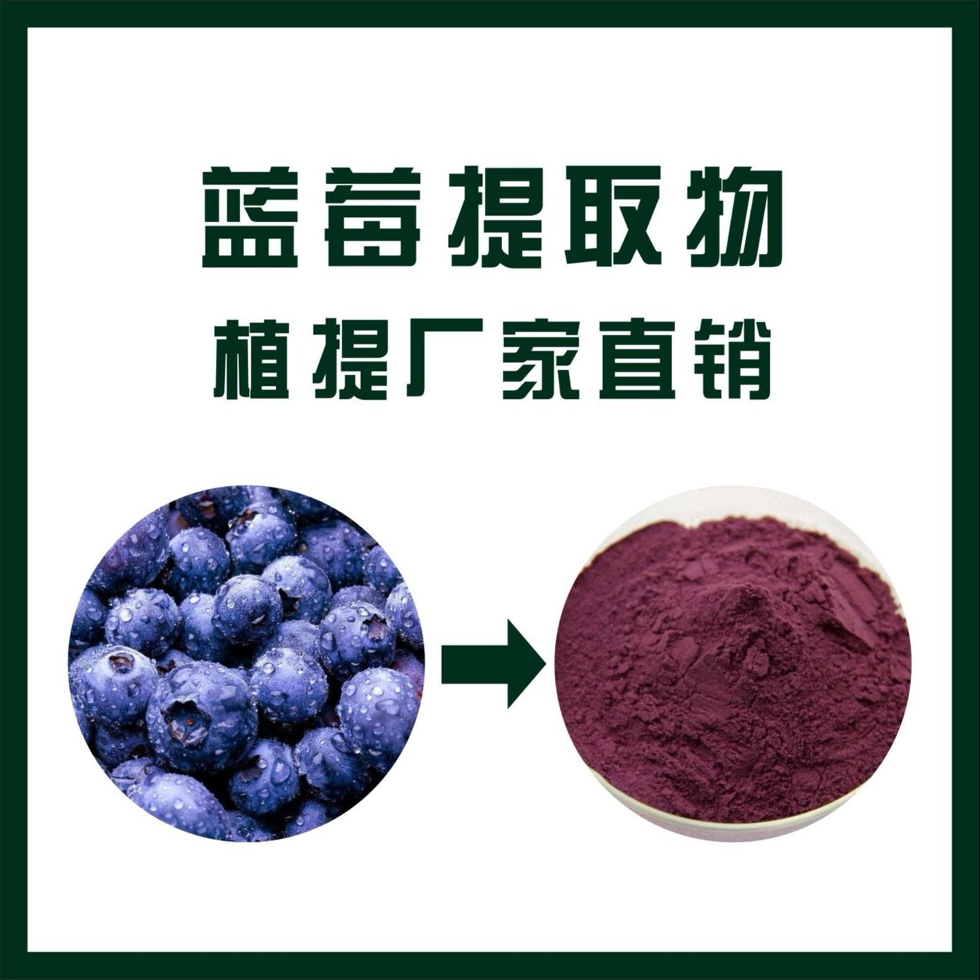 南昌蓝莓提取物蓝莓花青素品牌 蓝莓花青素粉 产品质量保证 陕西新天域