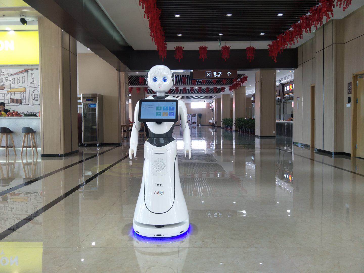 上海优质迎宾接待机器人销售价格 值得信赖 昆山新正源机器人智能科技供应