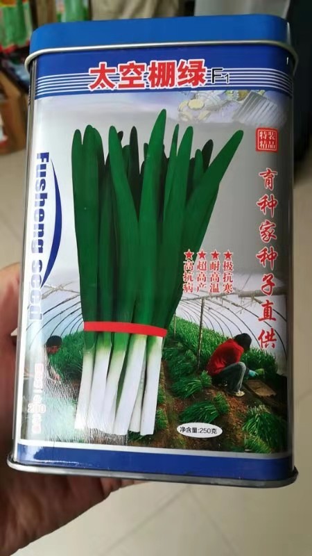 优良韭菜种子贵州能种