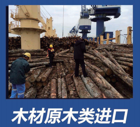 天津木材进口报关需要注意那些问题 -专业、快捷、信赖