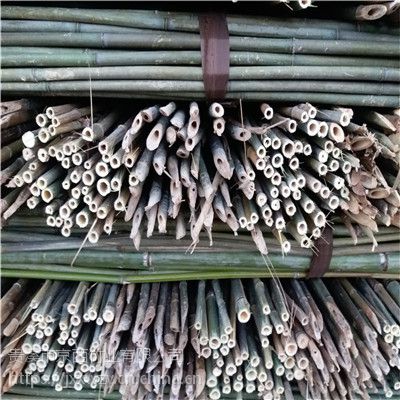 供应3米4米空芯竹杆 竹工艺品原材料、农用的空芯竹杆