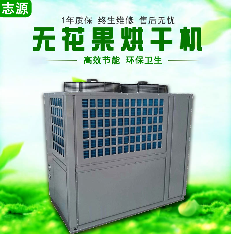 环保型WHG-15P无花果烘干机受热均匀 热泵无花果烘干机