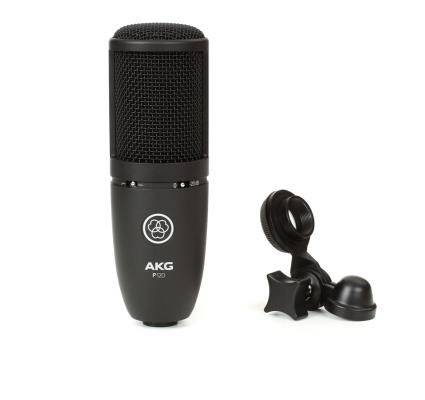 AKG /爱科技 P120 专业录音大振膜电容话筒
