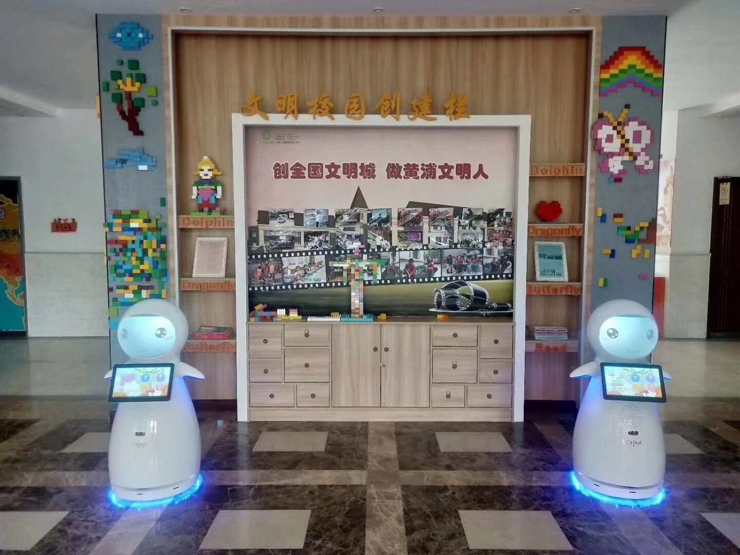 浙江优质智能教育机器人报价 诚信经营 昆山新正源机器人智能科技供应