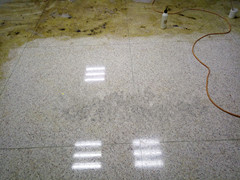 广州经济技术开发区 地毯清洗