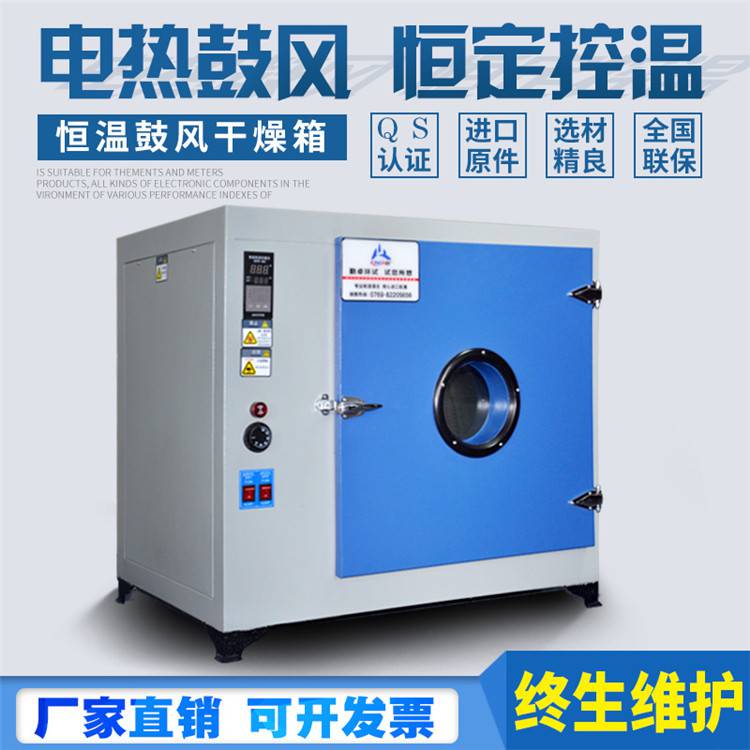 杭州电热鼓风干燥箱小型工业烤箱300度高温恒温试验箱老化机定时烘箱