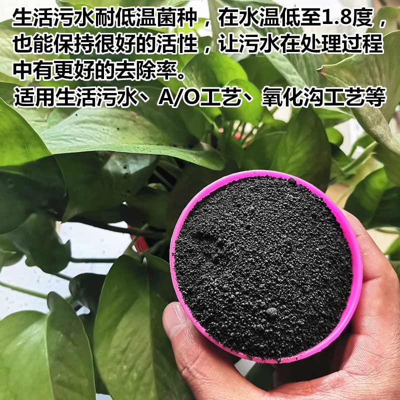 辽宁微生物复合菌种适合多少水温