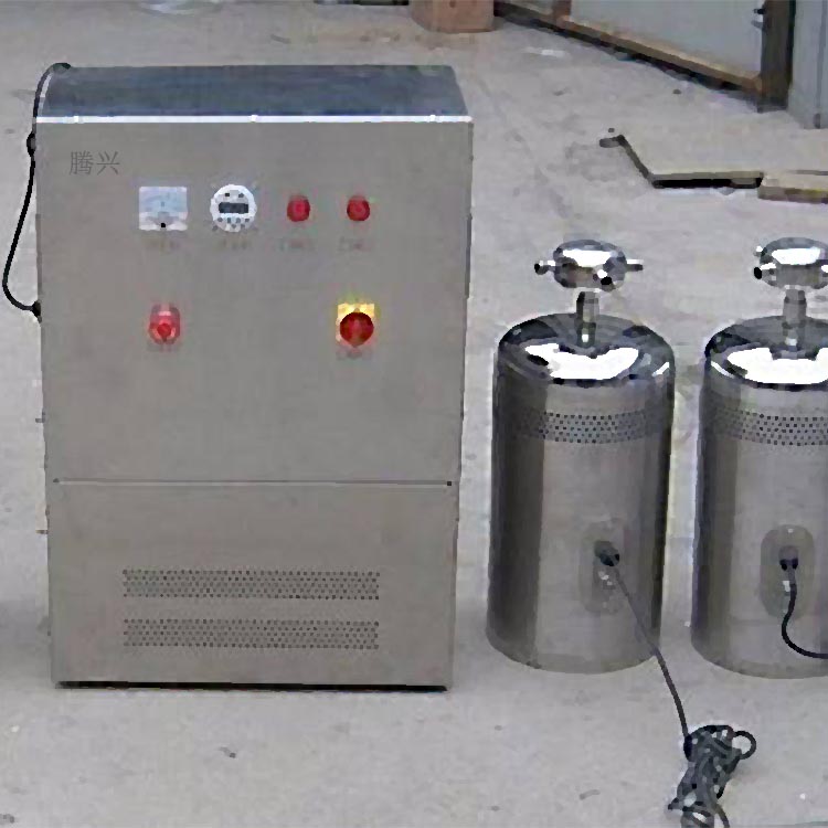 石家庄腾兴外置式臭氧发生器WTS-2W水箱自洁消毒器