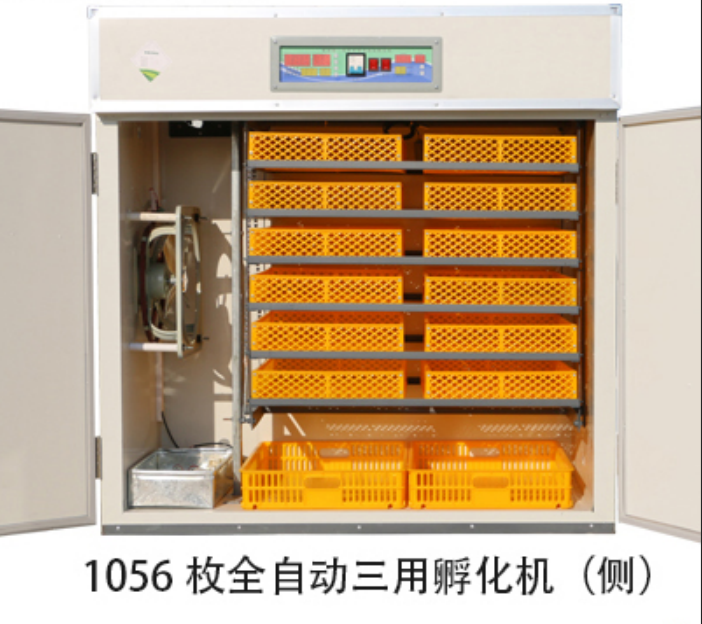 供应孵化机孵化设备、孵化机、孵化箱小型温控箱多功能孵化机