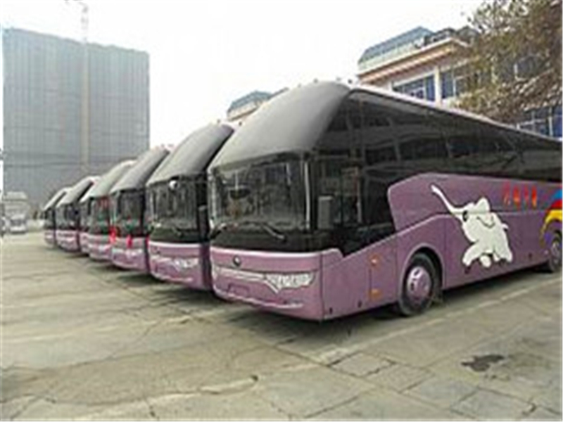 有郑州到阳江大巴车吗，长途汽车联系