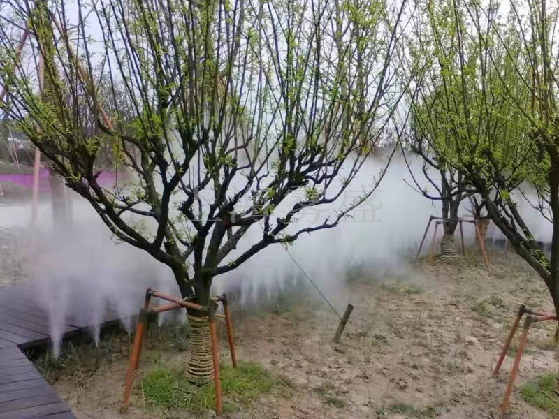 上海霧盛實業有限公司 泰州公園霧噴人造霧